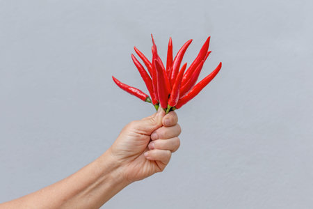 Red hot chili pepper in hand isolated on white background, Thailand.の写真素材