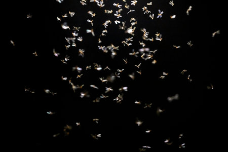 Silver confetti fly in the air on a black background. Festive background.