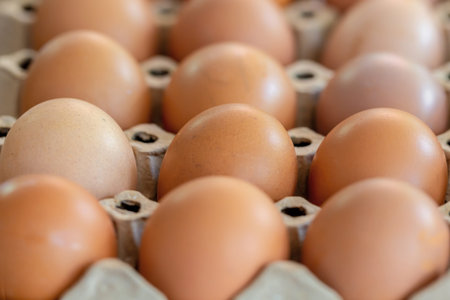 Close up of fresh chicken eggs in a cardboard box. Selective focus.
