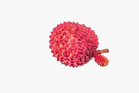Fresh lychee fruit isolated on white background with clipping path.