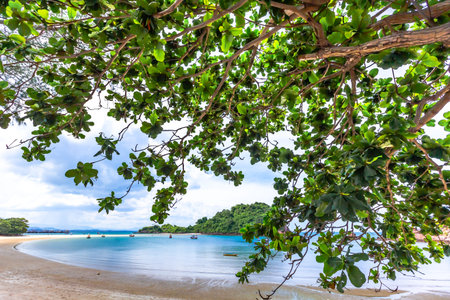 Tropical beach with green tree, Koh Lanta, Thailand