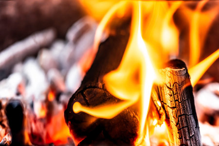 Burning firewood in the fireplace, close-up, background