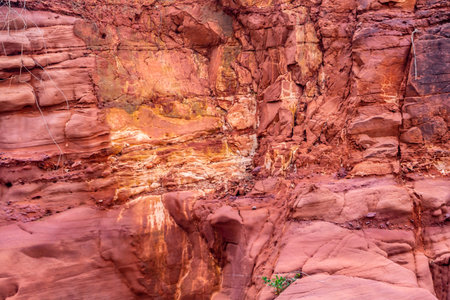 Red sandstone cliffs in Grand Staircase Escalante National Monument, Utah, USA