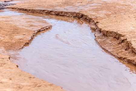 Wet soil after rain in Yellowstone National Park, Wyoming, USA