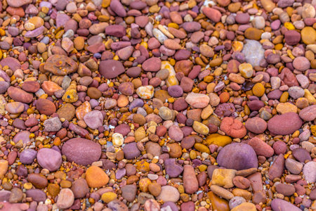 Colorful pebbles on the beach. Background and texture.