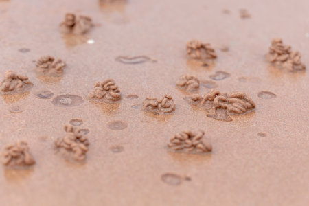 Footprint on the sand, close-up view of footprints in the sand