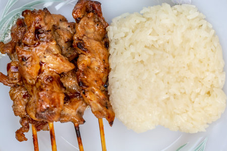 Grilled chicken and rice on a plate. Close-up.の写真素材