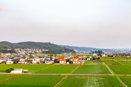 Aerial view of the rice fields in the countryside of Japan.の写真素材