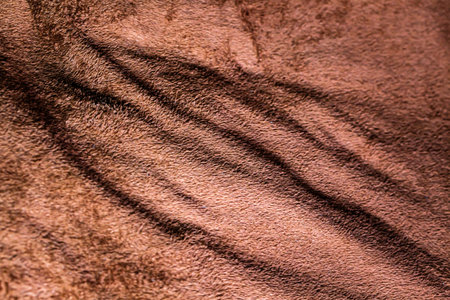 Close up of brown fur texture. Background and texture for design.