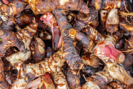 Jerusalem artichoke roots on the market, close-upの写真素材