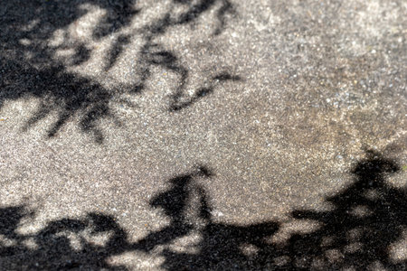 Shadow of tree on the cement floor. Abstract background and texture for design.