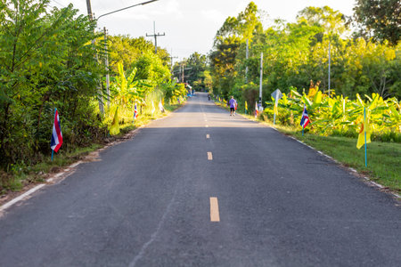 Bicycle lane in the park at Chiang Rai province, Thailand.の写真素材