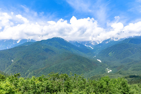 Mountain landscape with green forest and snow-capped mountains under blue sky