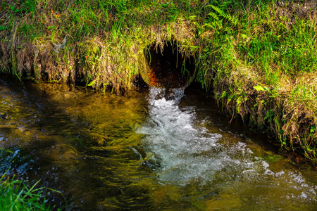 Streaming water in a small river in the forest. Spring landscape.