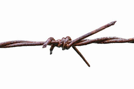 Rusty barbed wire isolated on white background with clipping path.の写真素材