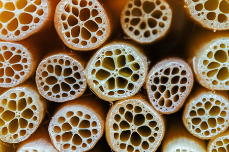 Close up of lotus seeds in bamboo tube for background and texture