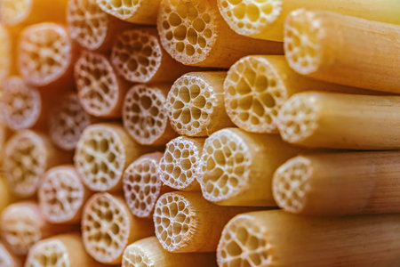 Macro shot of a lot of bamboo sticks texture background. Shallow depth of field.