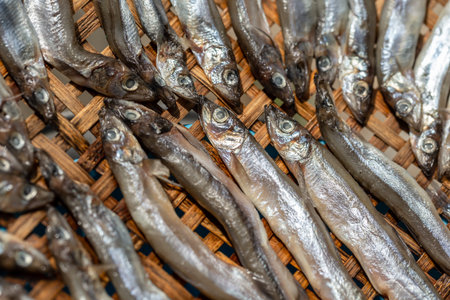 Dried salted fish on a bamboo tray in the market.の写真素材