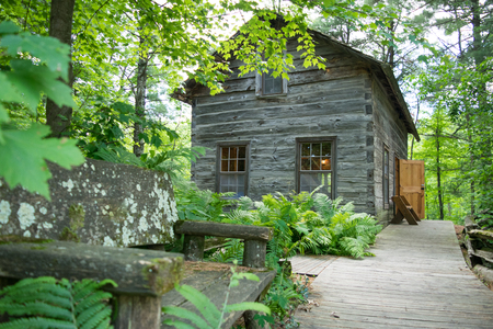 Old cabin set in the woods along a path.の写真素材