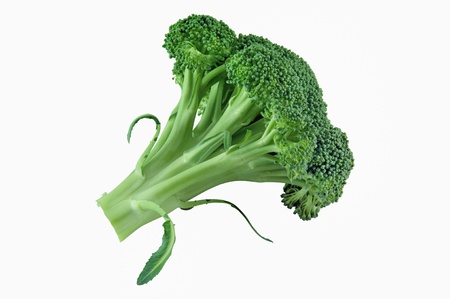 Fresh green broccoli Isolated on a white background.の写真素材