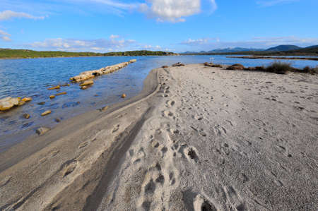 beach in winterの写真素材