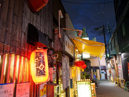 Night in Osaka, the back street of Kyobashiのeditorial素材
