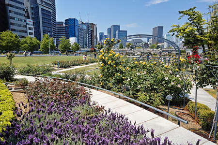 Nakanoshima Rose Garden, Nakanoshima, Osaka in Mayのeditorial素材