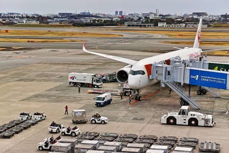 Osaka International Airport Airliners and Boarding Bridges