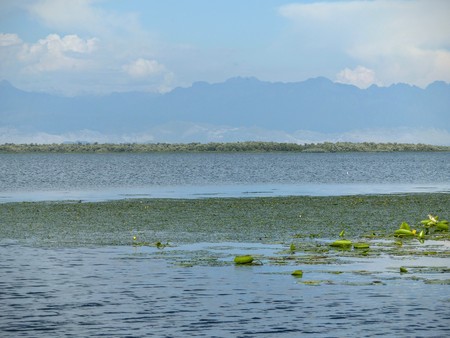 Lake of skadar in Montenegro with the mountains of Albania.の写真素材