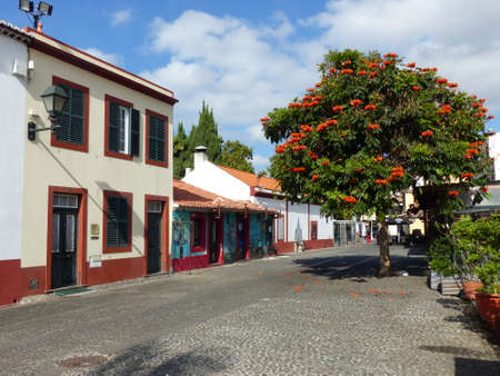 Characteristic street of Funchal in Madeira in Portugal.のeditorial素材