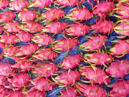 Dragon fruit, for sale in the foreground, Vietnam.の写真素材