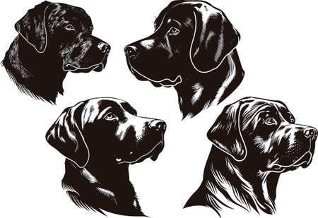 Labrador Retriever.Vector illustration ready for vinyl cutting.のイラスト素材