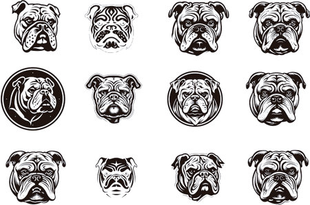 Bulldog - set of vector illustrations in black and white colors.のイラスト素材