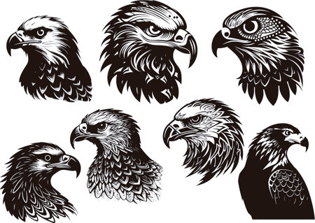 Eagle.Eagle.Vector illustration ready for vinyl cutting.のイラスト素材