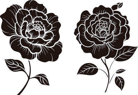 Black and white peony flowers. Vector illustration ready for vinyl cutting.のイラスト素材