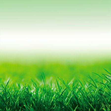 Green grass background with copy space for your text or image, soft focusの素材