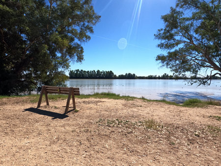 Wooden Bench on the shore of a lake in a sunny dayの素材