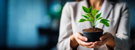 Closeup of businesswoman holding plant in pot. business growth conceptの素材