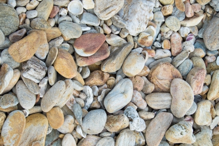 Sea gravel