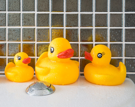 Rubber duckの写真素材