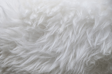 Sheep furの写真素材