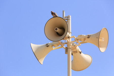 Megaphones and bird