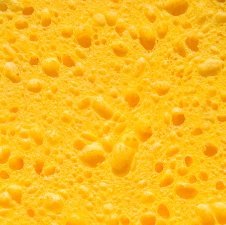 Texture of organic yellow spongeの写真素材