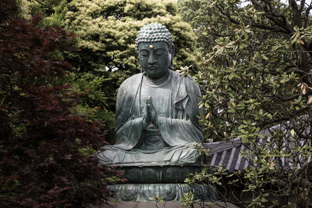 Buddha statue found in Tokyo, hidden among treesの写真素材