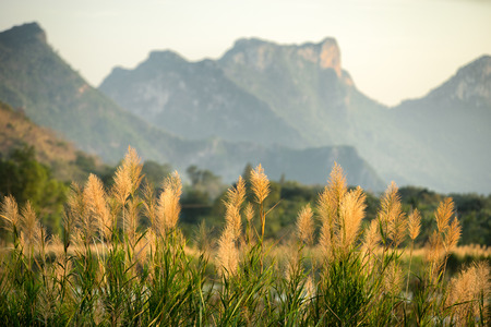 Landscape view from Sam Roi Yod National parkの写真素材