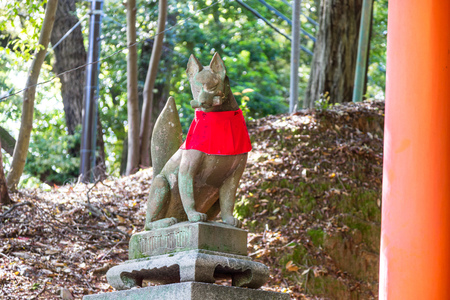 Fushimi inari stone fox guarding wooden gatesのeditorial素材