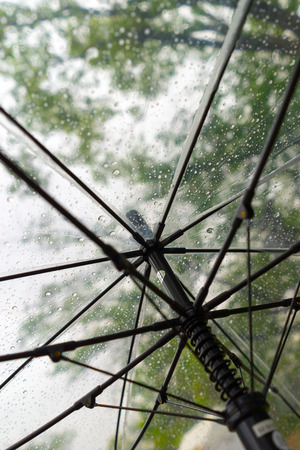transparent umbrella under the rain with raindropsの写真素材