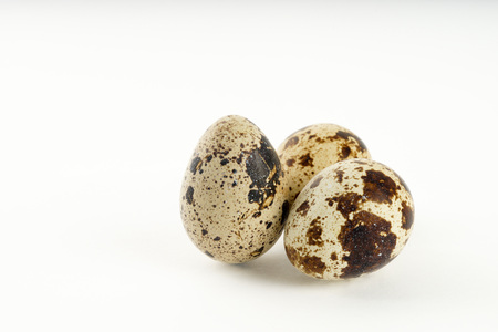 Quail egg isolated on white back groundの写真素材