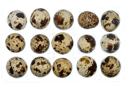 Quail egg isolated on white back groundの写真素材