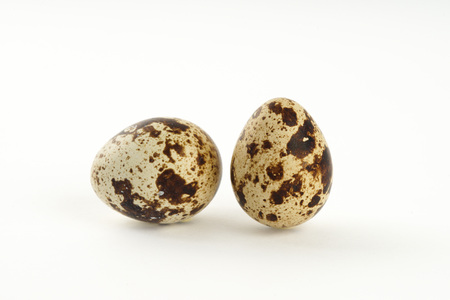 Quail egg isolated on white back groundの写真素材